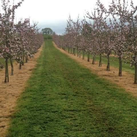 West Bradley Orchards photo